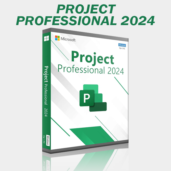 Microsoft Project Professional 2024
